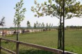 /album/menrit-04-06-2011/a06-04-2011-126-jpg/